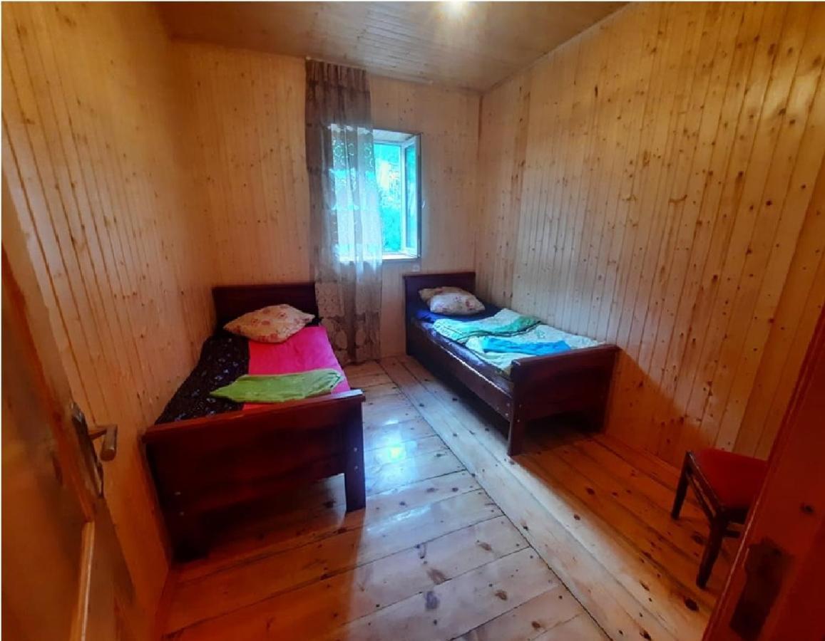 Nino & Tarzan Guesthouse Adishi Екстер'єр фото