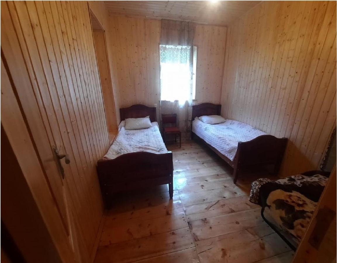 Nino & Tarzan Guesthouse Adishi Екстер'єр фото